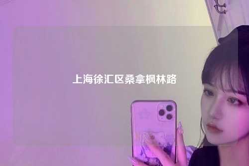 上海徐汇区桑拿枫林路